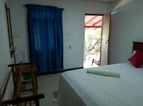Angry birds homestay