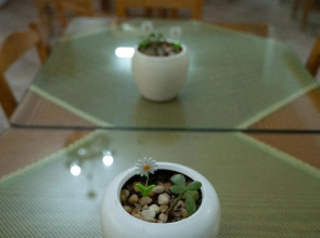 Dimitris Resort Hotel