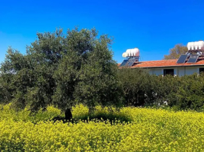 Bare Hill Holiday Apartments