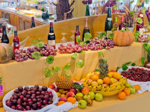 Hotel Cartago Nova by ALEGRIA