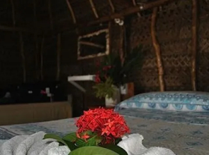 Waisalima Beach Resort & Dive Centre