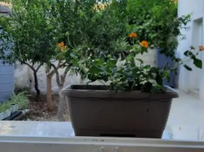 Casa vacanze Titi'