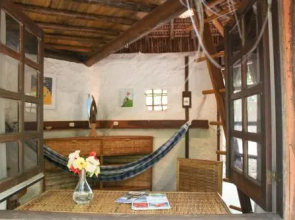 Nature Retreat with Healing Dogs in Brazil