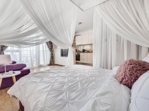 ARI Purple Studio