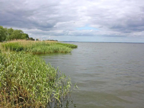 Ferienhaus Luckow VORP 2921