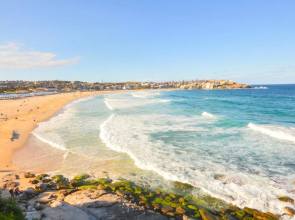 Bondi Beach Eco Garden