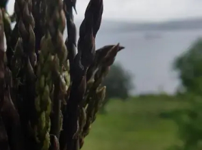 Sea View Apartments Debeli Rtič