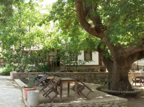Birgi Cinaralti Pansiyon