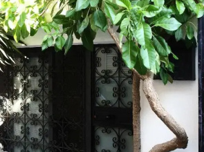 Daniela House