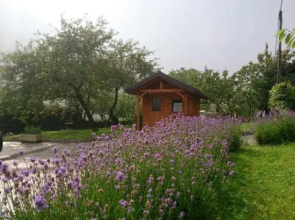 Apartment Lapanja