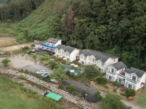 Loanne Green Pension