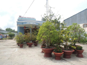 Thanh Xuan Hotel
