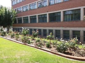 Centro San Viator