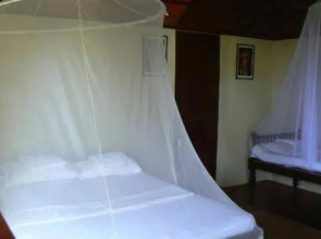 Bio Veda Ayurvedic Hill resort