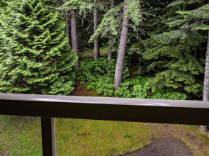 Westwind Properties at The Woodrun Lodge