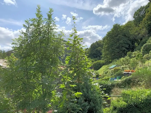 Hotel Bergschlößchen