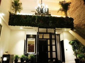 Air Hotel