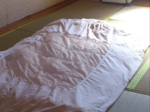 Hotel Sanyuso