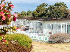 Jeju Dangdangi Dog Pension Black