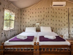 Amritara Riverside Luxury Tents