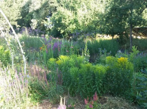 De Geheime Tuin - Boshuis