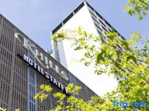 Stayfy Paju K Hills