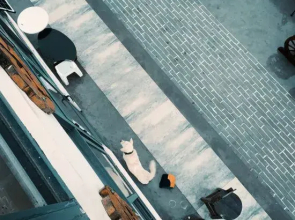 Shengsi wolfberry Shengshan Island Youth Hostel