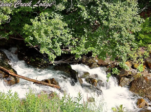 Alpine Creek Lodge
