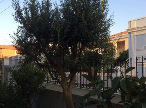 B&B Casavale