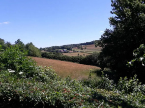 Studio Au Jardin Fleuri (Adults Only)