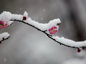Yabuli Chengyouyou Ski Holiday Villa