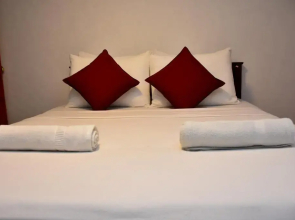 Rainforest Holiday Inn