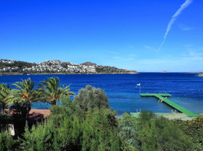 Cactus Mirage Family Club