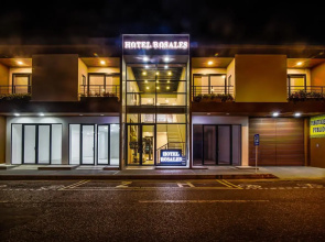 Hotel Rosales