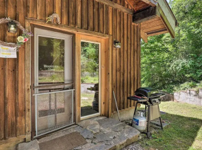 Pet-friendly Leicester/asheville Mtn View Escape