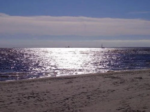 Отель «Койдулапарк»