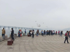 Xinghai Exhibition Center Apartment