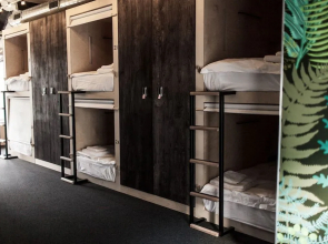 Botanist Hostel