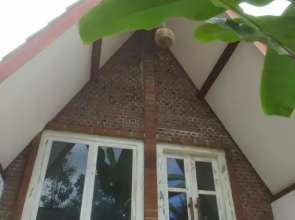 Green Haven Homestay