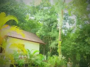 Paradise Waterfall House