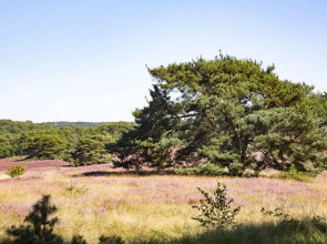 House LAvenir 4 Brunssum