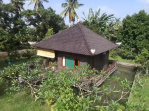 Natural 1 Bedroom lodge - Balian Beach