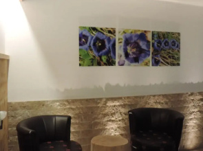 Hotel Scoiattolo