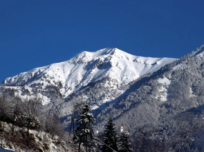 Apartments Pri Marjetki