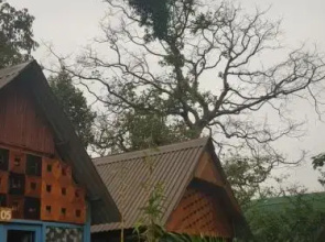 Garden Homestay