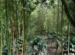 Hotel Villas De Rio Glamping & Camping