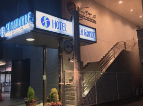 Seagrande Shimizu Station Hotel