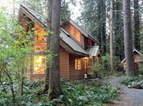 Snowline Cabin #4 - Pet-friendly Cedar Cabin With a Private Outdoor hot Tub!