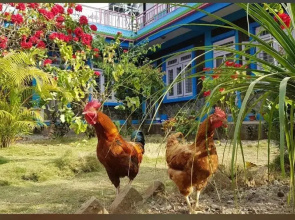 Robins nest hotel & restaurant