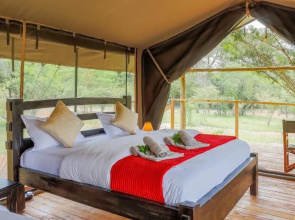 Aruba Mara Camp